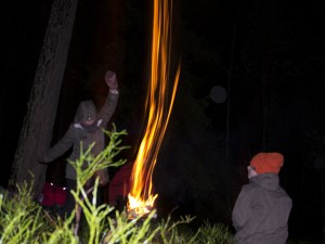 Läs mer om artikeln Fire in Forest Darkness